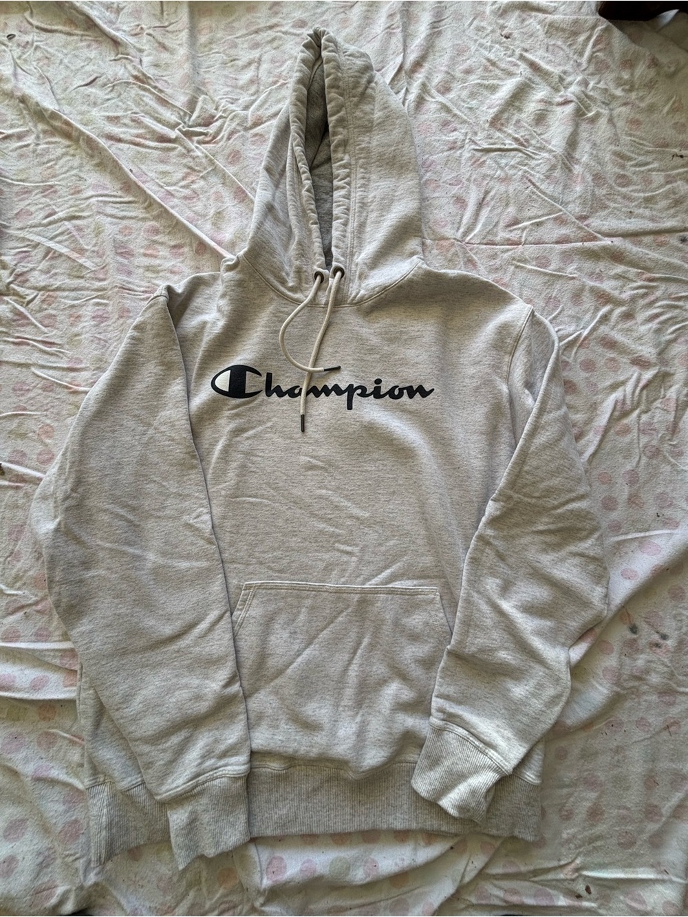 Champion Script Logo Pullover Hoodie Gray